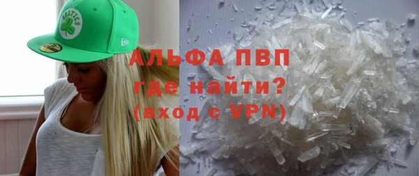 прущие крисы Новозыбков