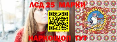амф Кандалакша