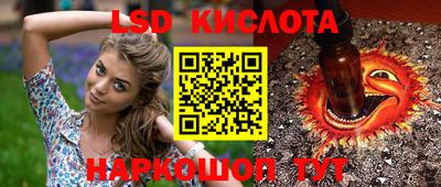 гидропоника Камышлов