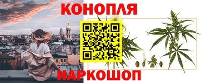 гидропоника Камышлов