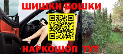 гидропоника Камышлов