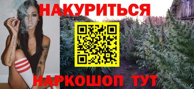 Альфа ПВП Канаш