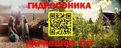 амф Кандалакша
